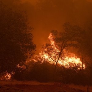 Northern California Wildfires: Where To Find Updates On Air Quality, Evacuations, And Official Information