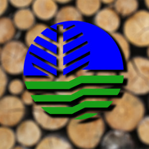 DENR renews call to create permanent bureau to fight environmental crimes