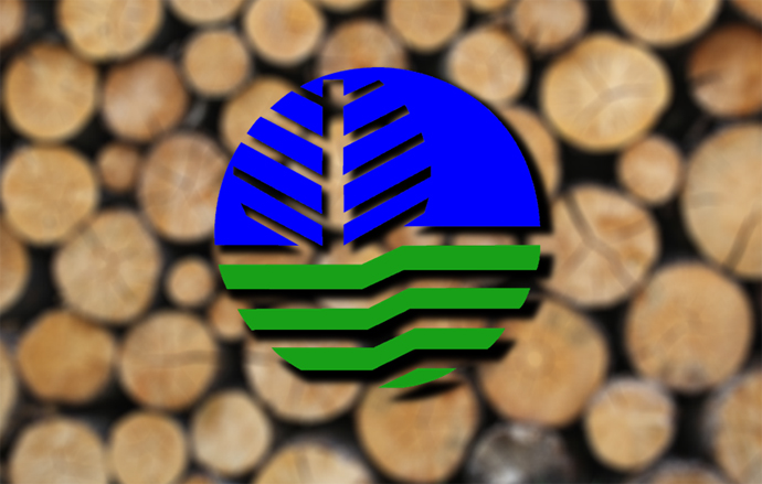 DENR renews call to create permanent bureau to fight environmental crimes