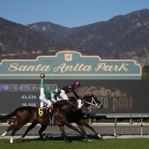 Santa Anita postpones fall season opening because of Bobcat fire