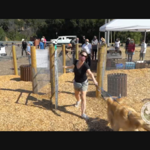 Temporary Dog Park Opens In Calabasas