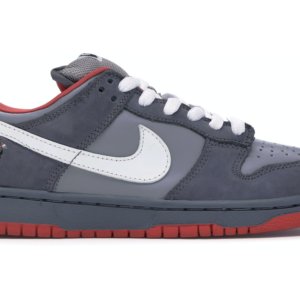 Nike sues LA brand Warren Lotas over shoes that look like Nike Dunks