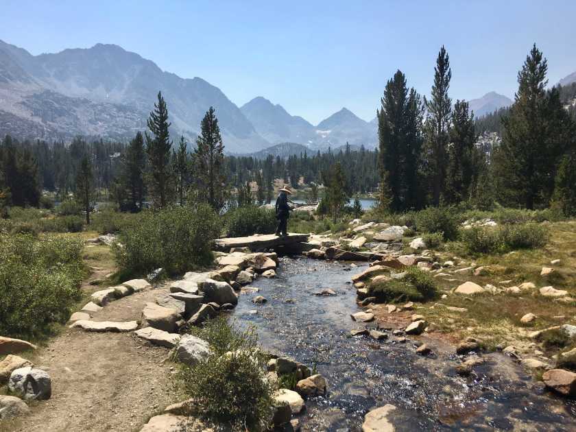 Boiling Point: Want to stop climate change? Look to farms, forests and wetlands