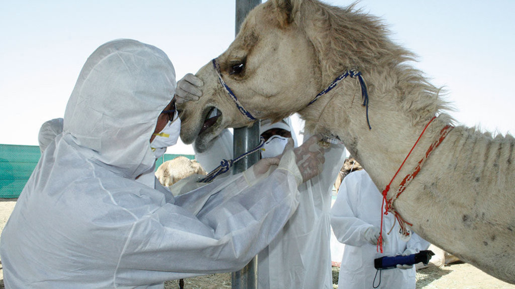 When physicians and veterinarians team up, all species benefit