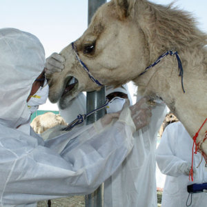 When physicians and veterinarians team up, all species benefit