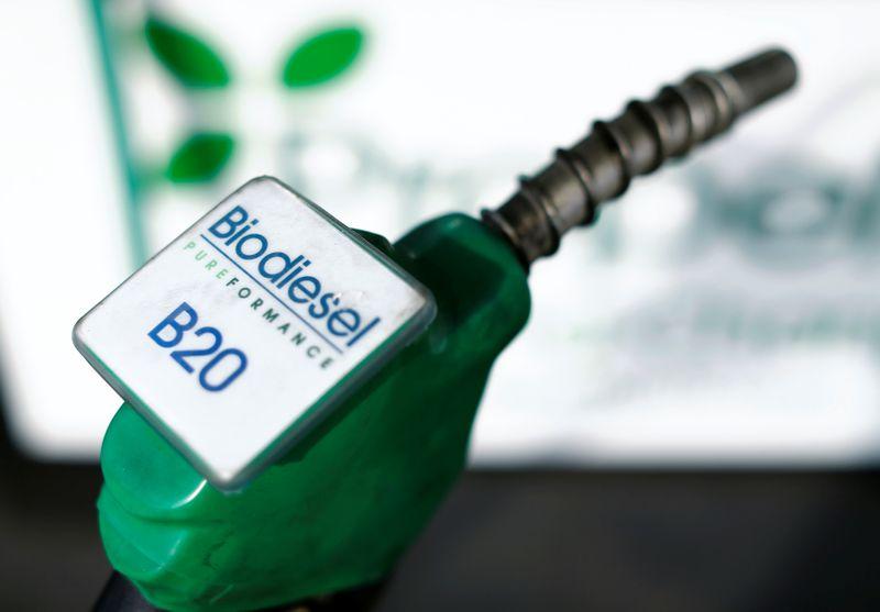 Biofuel leaders highlight policy, feedstock innovation in industry's future