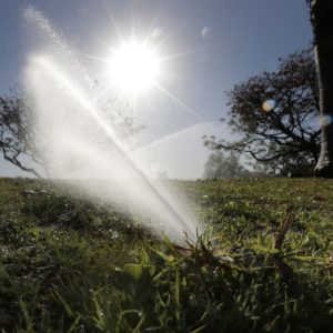 Want to save energy and fight climate change? Try using less water