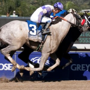 Santa Anita Park