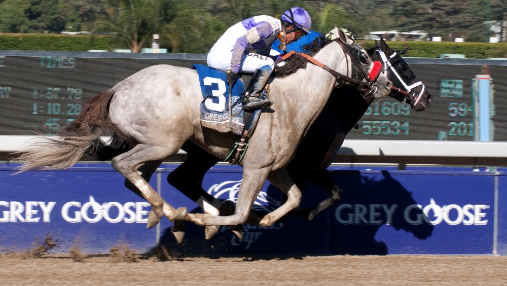 Santa Anita Park