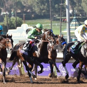 Santa Anita