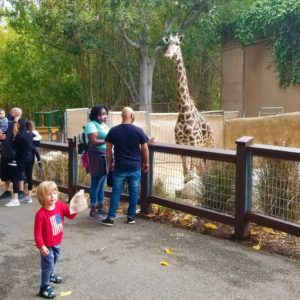 Los Angeles Zoo