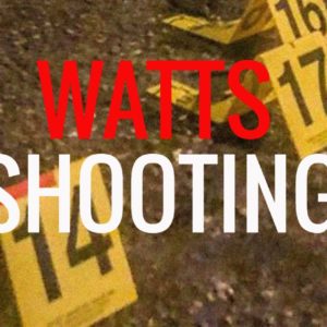 watts shooting