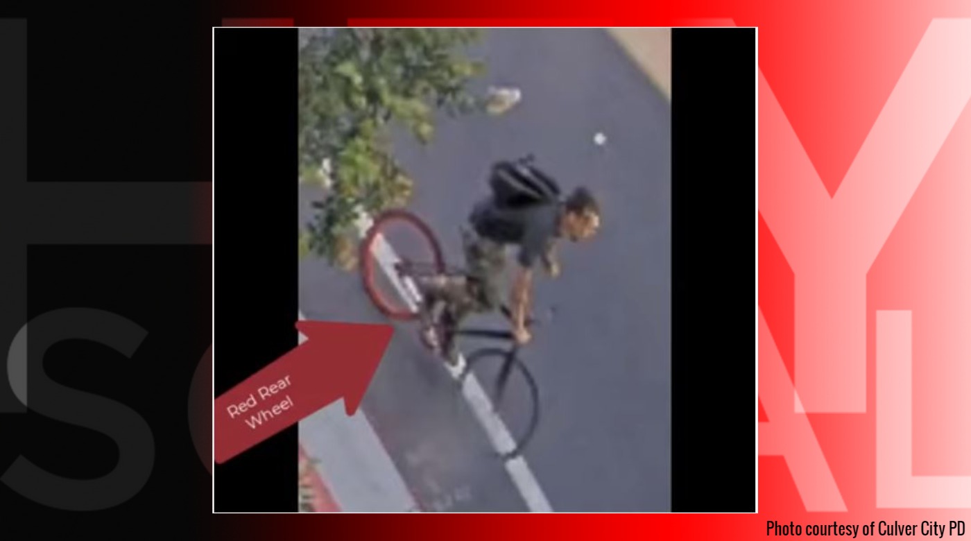 Culver city jogger attack