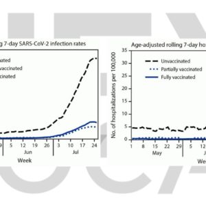 Age-adjusted rolling 7-day SARS-CoV-2 infection and hospitalization rates, by vaccination status, in LA County