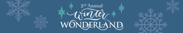 winter wonderland, foster care kids