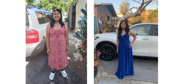 missing, cypress park, teen