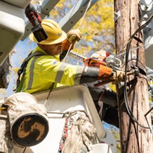 DWP, repair worker, power lines