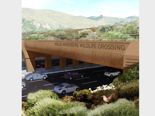 Caltrans report details strategy for wildlife connectivity