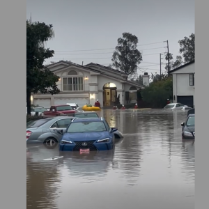 Cars sit in high water Friday in a Long Beach neighborhood after a water main broke.