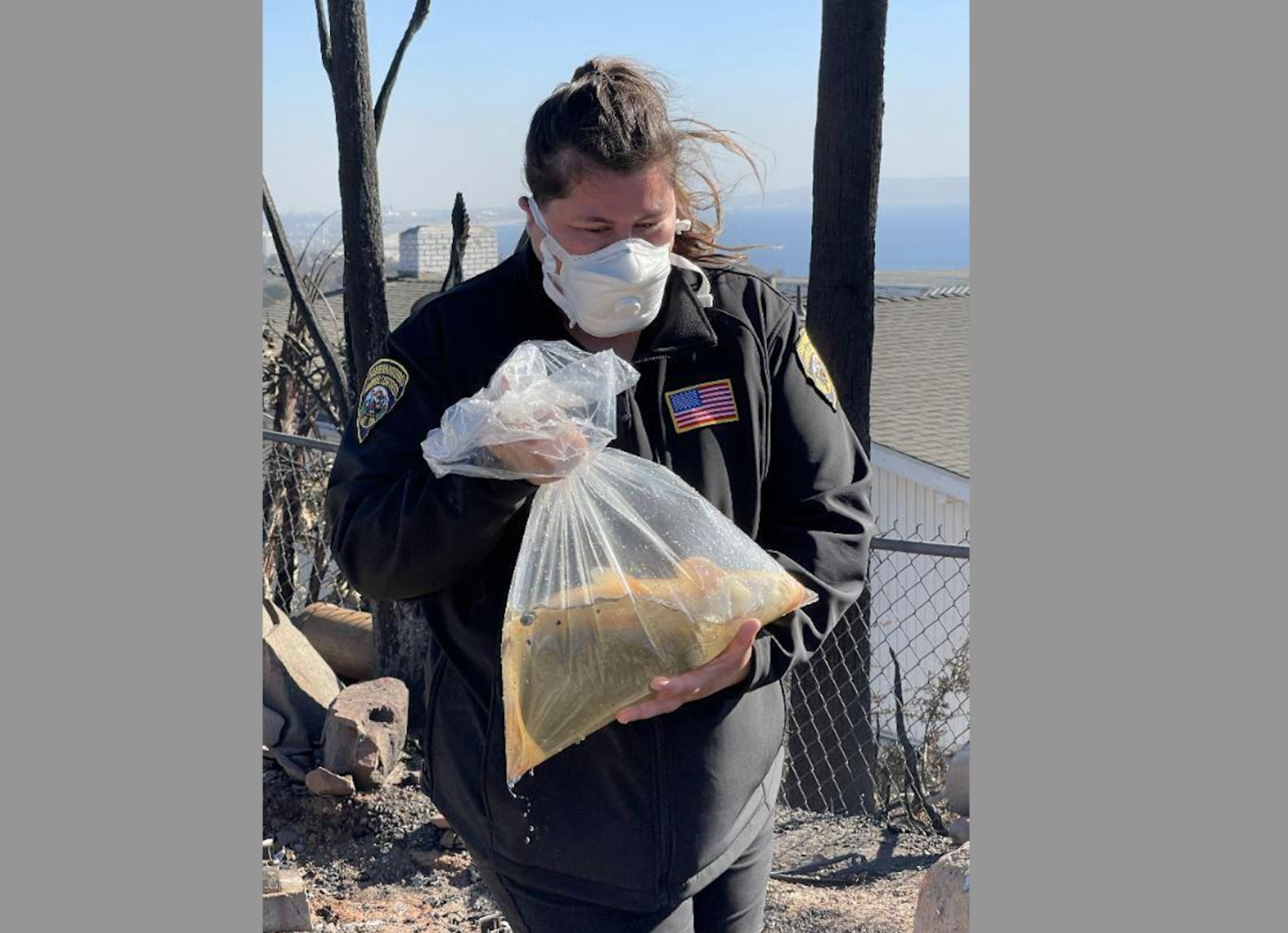 A San Bernardino Animal Services officer rescues a fish in the aftermath of the Palisades Fire.