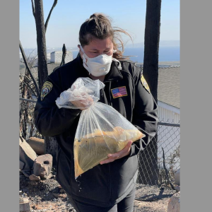 A San Bernardino Animal Services officer rescues a fish in the aftermath of the Palisades Fire.